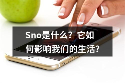 Sno是什么?它如何影响我们的生活?