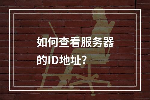 如何查看服务器的ID地址?