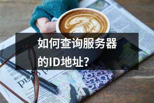 如何查询服务器的ID地址?