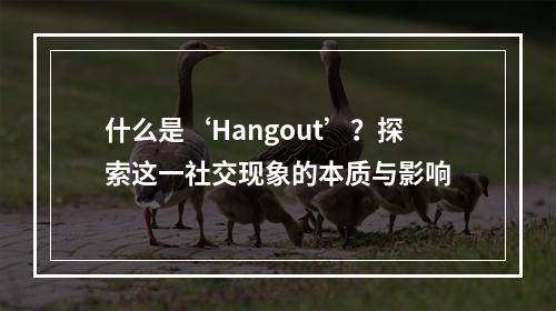 什么是‘Hangout’?探索这一社交现象的本质与影响