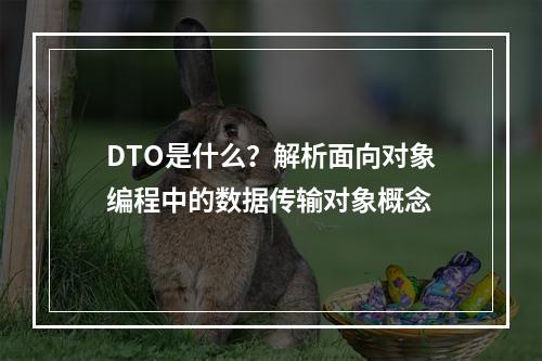 DTO是什么?解析面向对象编程中的数据传输对象概念