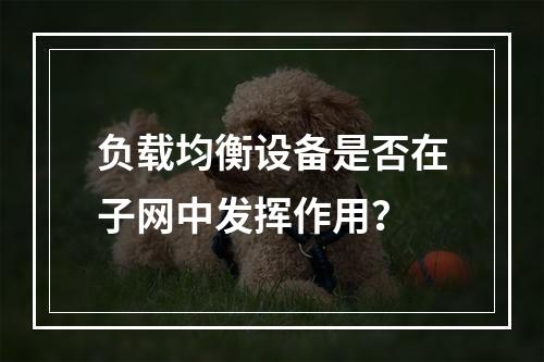 负载均衡设备是否在子网中发挥作用?