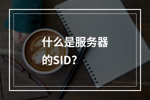 什么是服务器的SID?