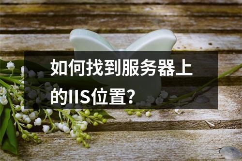 如何找到服务器上的IIS位置?