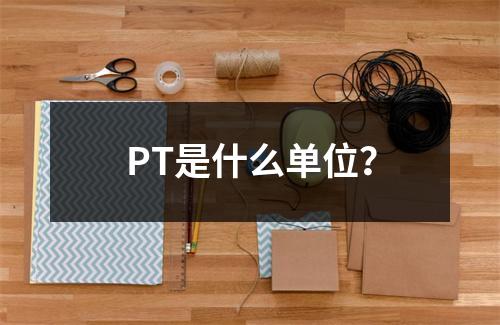 PT是什么单位?