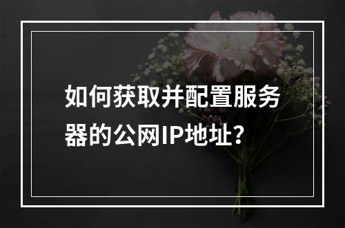 如何获取并配置服务器的公网IP地址?