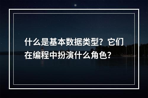 什么是基本数据类型?它们在编程中扮演什么角色?