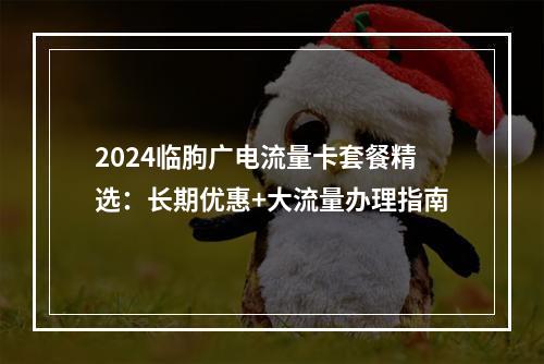 2024临朐广电流量卡套餐精选：长期优惠+大流量办理指南