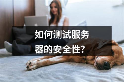 如何测试服务器的安全性?