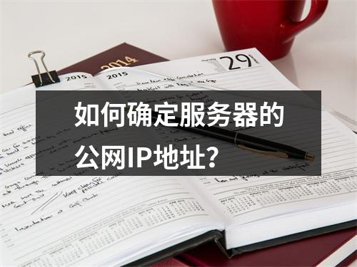 如何确定服务器的公网IP地址?