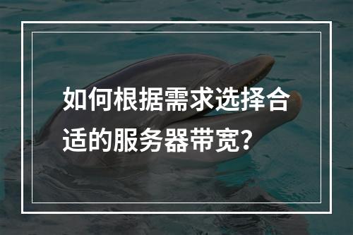 如何根据需求选择合适的服务器带宽?