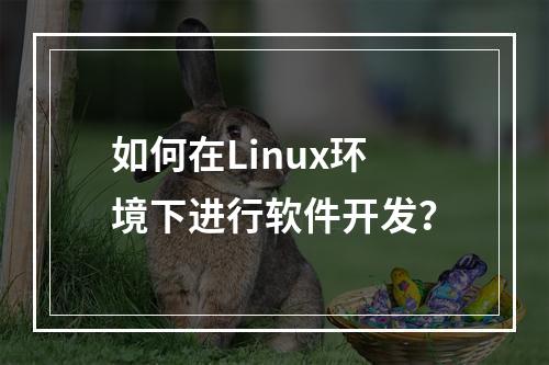 如何在Linux环境下进行软件开发?
