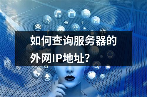 如何查询服务器的外网IP地址?