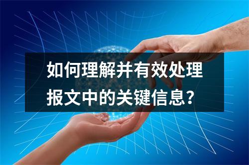 如何理解并有效处理报文中的关键信息?