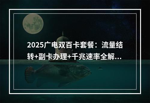 2025广电双百卡套餐：流量结转+副卡办理+千兆速率全解析