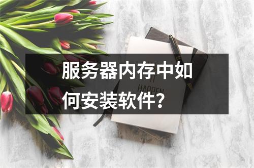 服务器内存中如何安装软件?