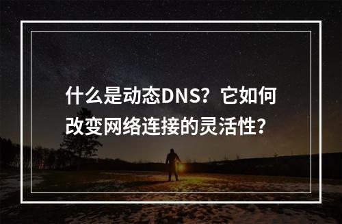 什么是动态DNS?它如何改变网络连接的灵活性?