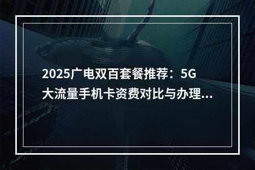 2025广电双百套餐推荐：5G大流量手机卡资费对比与办理指南