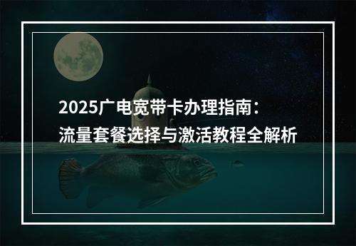 2025广电宽带卡办理指南：流量套餐选择与激活教程全解析
