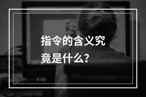 指令的含义究竟是什么?