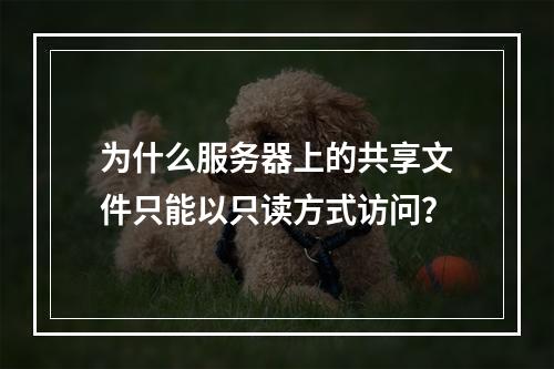 为什么服务器上的共享文件只能以只读方式访问?