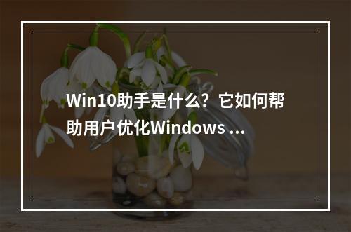 Win10助手是什么?它如何帮助用户优化Windows 10体验?