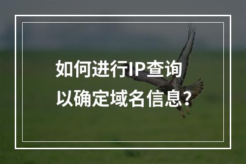 如何进行IP查询以确定域名信息?