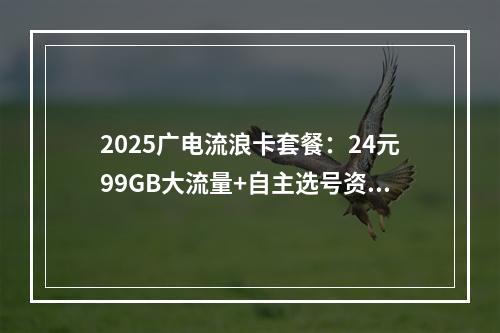 2025广电流浪卡套餐：24元99GB大流量+自主选号资费解析