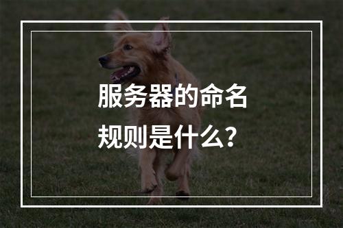 服务器的命名规则是什么?
