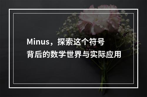 Minus,探索这个符号背后的数学世界与实际应用