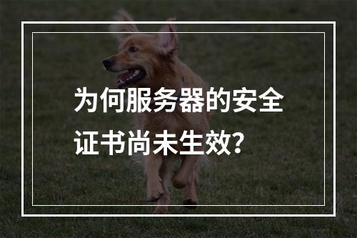 为何服务器的安全证书尚未生效?