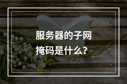 服务器的子网掩码是什么?