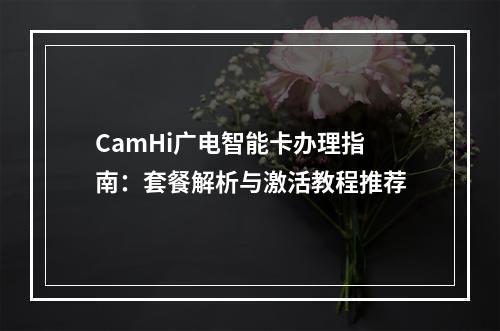 CamHi广电智能卡办理指南：套餐解析与激活教程推荐