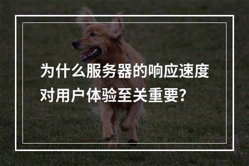 为什么服务器的响应速度对用户体验至关重要?