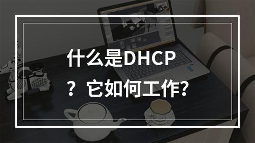 什么是DHCP?它如何工作?