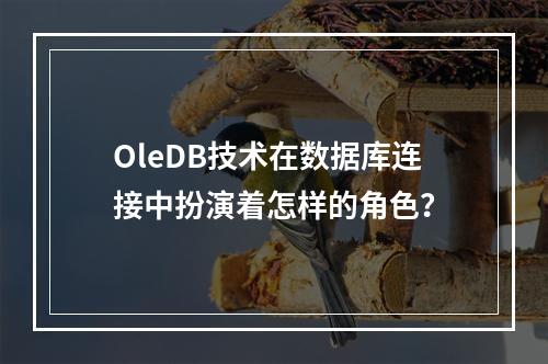 OleDB技术在数据库连接中扮演着怎样的角色?