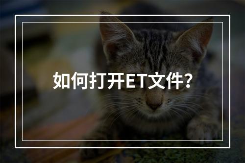 如何打开ET文件?