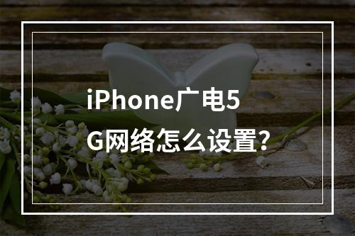 iPhone广电5G网络怎么设置？