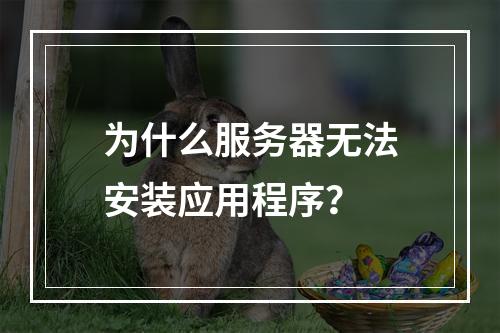 为什么服务器无法安装应用程序?