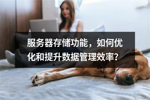 服务器存储功能,如何优化和提升数据管理效率?