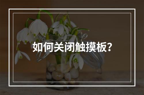 如何关闭触摸板?