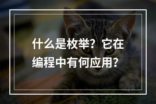 什么是枚举?它在编程中有何应用?
