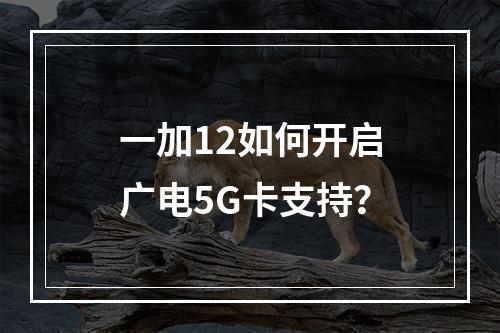 一加12如何开启广电5G卡支持？