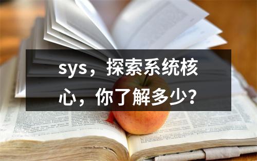 sys,探索系统核心,你了解多少?