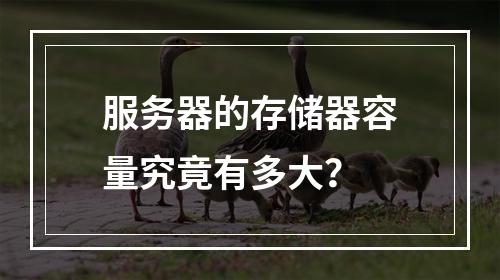 服务器的存储器容量究竟有多大?