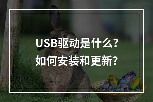 USB驱动是什么?如何安装和更新?