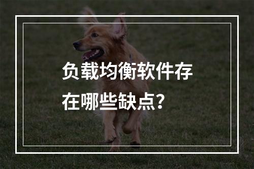 负载均衡软件存在哪些缺点?