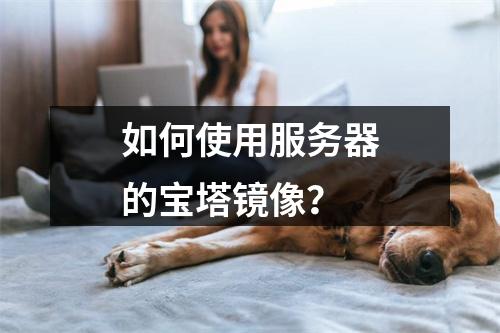 如何使用服务器的宝塔镜像?