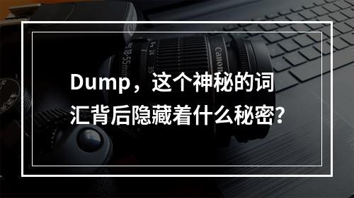 Dump,这个神秘的词汇背后隐藏着什么秘密?