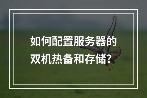 如何配置服务器的双机热备和存储?